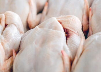 Експорт м’яса птиці за 8 місяців приніс Україні $633,4 млн – Економіка