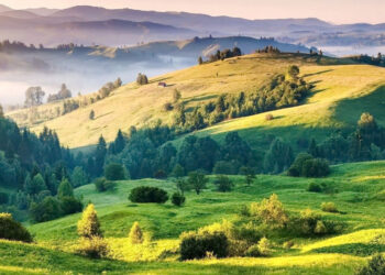 АРМА продасть земельні активи у Закарпатті вартістю 1 млрд грн Економіка