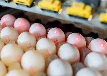 «Ясенсвіт» прагне автоматизувати максимальну кількість виробничих процесів – Економіка