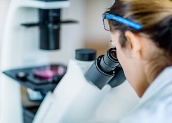 Держпродспоживслужба модернізує систему лабораторій для швидкого виявлення захворювань тварин – Економіка