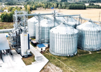 В Україні виставили на продаж великий елеватор потужністю зберігання 35 000 тон Економіка
