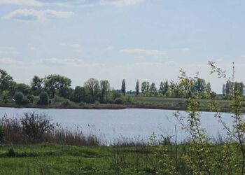 Земельный участок, земля в Киевской области, махинации с землей | Новини Київа