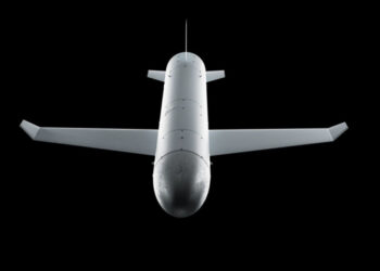 Литовський уряд інвестує €10 млн в українську ракету-дрон Паляниця Економіка