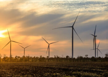 “Нафтогаз Біоенергія” планує побудувати вітрову електростанцію на 100 МВт в Тернопільської області Економіка