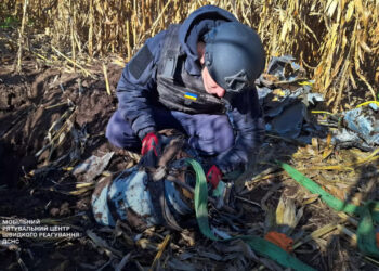 На Бориспільщині сапери вилучили бойову частину ворожого БПЛА