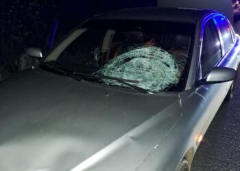 На Фастівщині сталася смертельна ДТП за участі пішохода