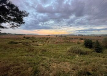 На Київщині створять ландшафтний парк “Приірпіння”