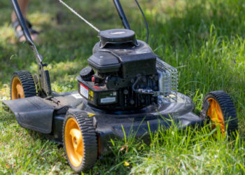Наступного року в Києві збільшать кількість ділянок без скошування трави | ПРО ГОЛОВНЕ