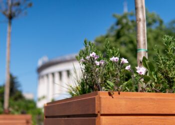 Парклети у Києві – облаштовано вже 10 локацій | ПРО ГОЛОВНЕ