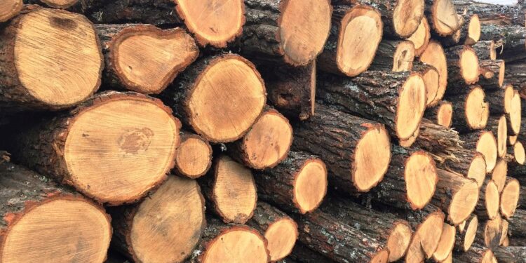 Пільговики Ірпінської громади можуть безкоштовно отримати дрова