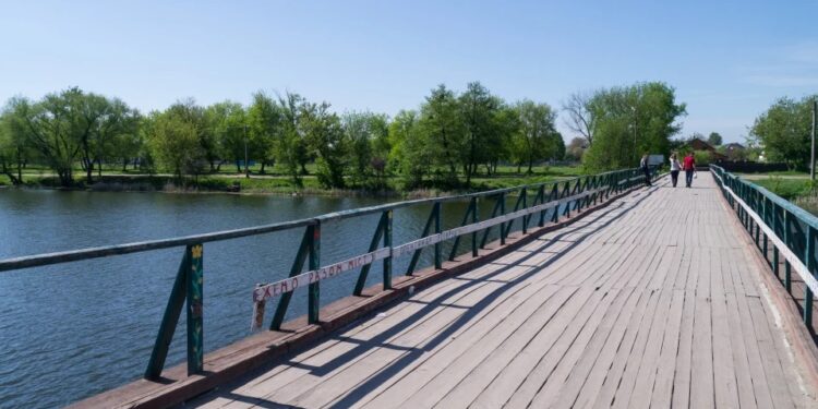 Прибережну смугу у Білій Церкві планують розчистити за понад 259 тисяч гривень