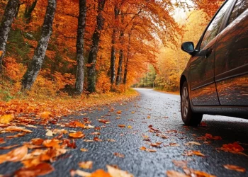 Що кожен водій повинен встигнути зробити перед початком осені: 5 обовʼязкових дій – Авто поради