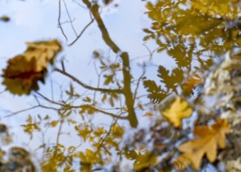 Синоптики дали прогноз погоди на понеділок і розповіли, де в Україні потеплішає протягом тижня