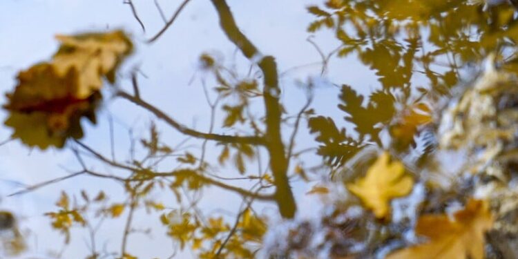 Синоптики дали прогноз погоди на понеділок і розповіли, де в Україні потеплішає протягом тижня