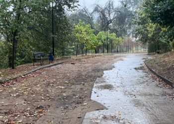 Солом’янський парк продовжує розвалюватися через бездіяльність забудовника | КИЇВ СЬОГОДНІ