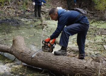 У Києві комунальники очистили річку Зариваха від сміття | ПРО ГОЛОВНЕ