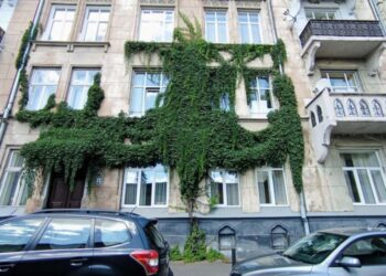 У Львові створюють реєстр витких рослин для їхнього збереження | ПРО ГОЛОВНЕ