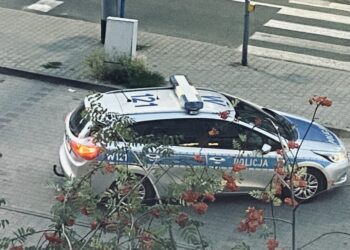 У Польщі пасажир намагався вбити  таксиста з України – СВІТ