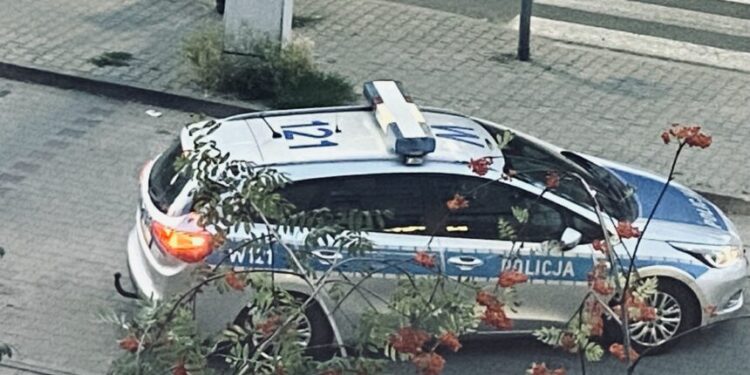 У Польщі пасажир намагався вбити  таксиста з України – СВІТ