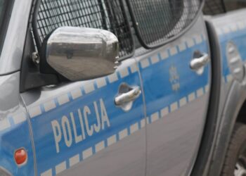 У Польщі в лісі узбек порізав ножем двох підлітків з України – СВІТ