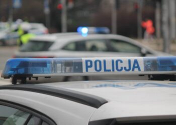 У Польщі затримали українців, які на ходу обкрадали вантажівки + [ВІДЕО] – СВІТ