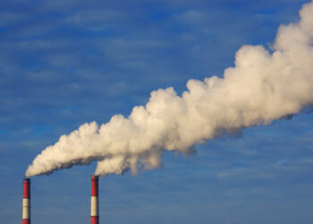 Україна зазнає значних втрат через вуглецеве мито СВАМ, потрібне відтермінування – експортери