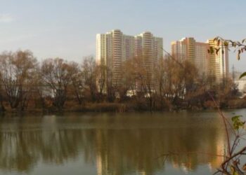 В Оболонському районі рятують від забруднення озеро Мінське, у якому загинула риба | ПРО ГОЛОВНЕ