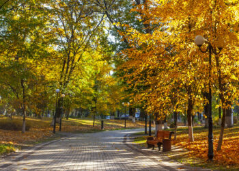 В Україні потеплішає на кілька днів. Синоптикиня дала прогноз погоди