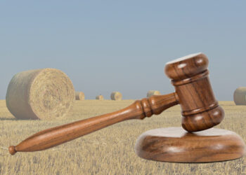 Земельний банк: за тиждень наторгували на 25,8 млн грн |