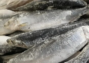 Імпорт мороженої риби за 10 місяців скоротився на 1,5% – Економіка