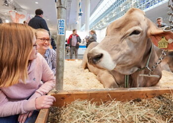 У Ганновері стартувала визначна для тваринників виставка EuroTier – Економіка
