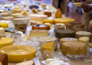 Українські сири вибороли 8 нагород на World Cheese Awards 2024 – Економіка