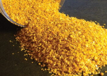 Vitagro знижує собівартість свинини за рахунок DDGS – Економіка