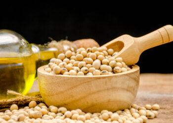 Астарта має намір побудувати новий завод із переробки сої із залученням $80 млн від IFC Економіка