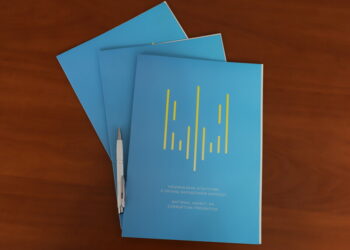 Автомобілі, земля й нерухомість. НАЗК виявило в ексчиновника СБУ ознаки незаконного збагачення