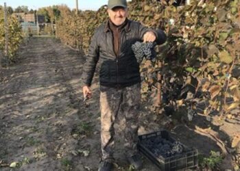Фермер з Київщини Григорій Кулініченко виготовляє унікальні вина