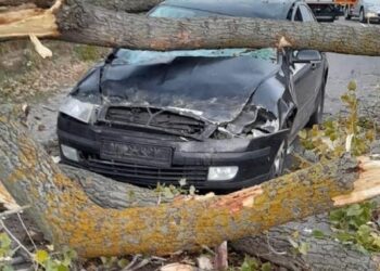 Київщина оговтується від негоди 4 листопада