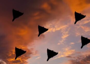 На Київщині сили ППО знову відбивали атаку ворога