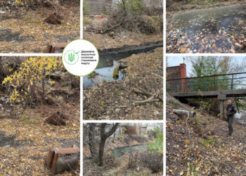 На Русанівських садах озеро Зариваха перекрили стихійною дамбою й забруднили невідомими речовинами | ПРО ГОЛОВНЕ