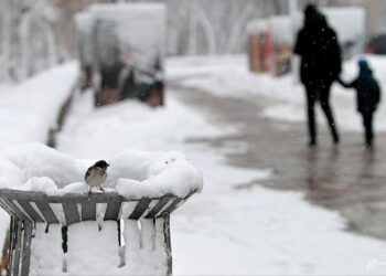 Ожеледиця, мокрий сніг та сильний вітер: на Київщині 23 листопада очікується ускладнення погодних умов