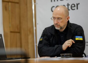 Шмигаль розповів, чи підпише президент України “закон про дрова”