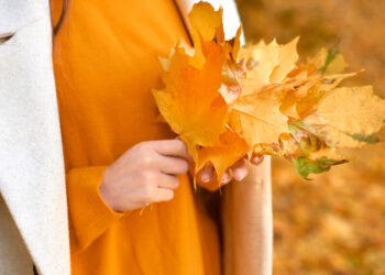 Синоптикиня розповіла, чого очікувати від погоди в Україні 17 листопада