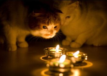 Сьогодні графіки відключень діятимуть до 22:00