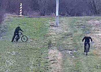 У Польщі затримали двох українців на велосипедах: збиралися їхати до США – СВІТ