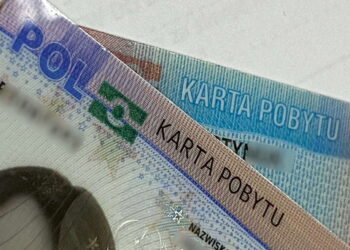 У Польщі затримали працівницю уженду, яка видавала карти побиту поза законом – СВІТ