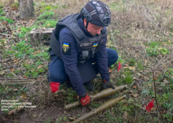 У Вишгородському районі знайшли боєприпаси на приватному подвір’ї