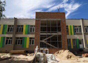 Задля реконструкції дитсадка у Броварах знову знищуватимуть дерева