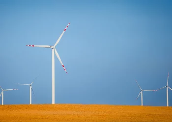 Elementum Energy інвестує €300 млн у будівництво ВЕС в Україні