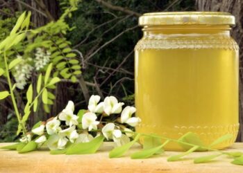 В Україні оновили вимоги до меду – Економіка