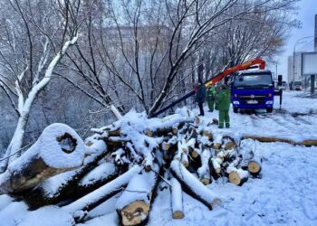 Біля Совських ставків триває благоустрій екопарку | ПРО ГОЛОВНЕ